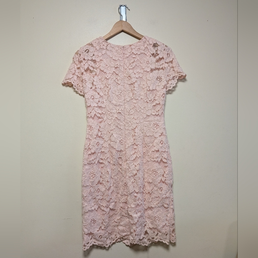 Lauren Ralph Lauren Blush Floral Lace Sheath Dress | Size 6 - Picture 6 of 7